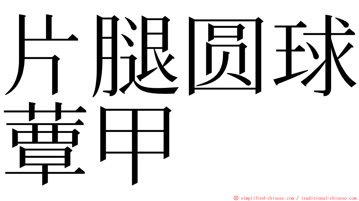 片腿圆球蕈甲 ming font