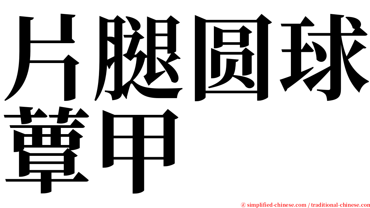 片腿圆球蕈甲 serif font