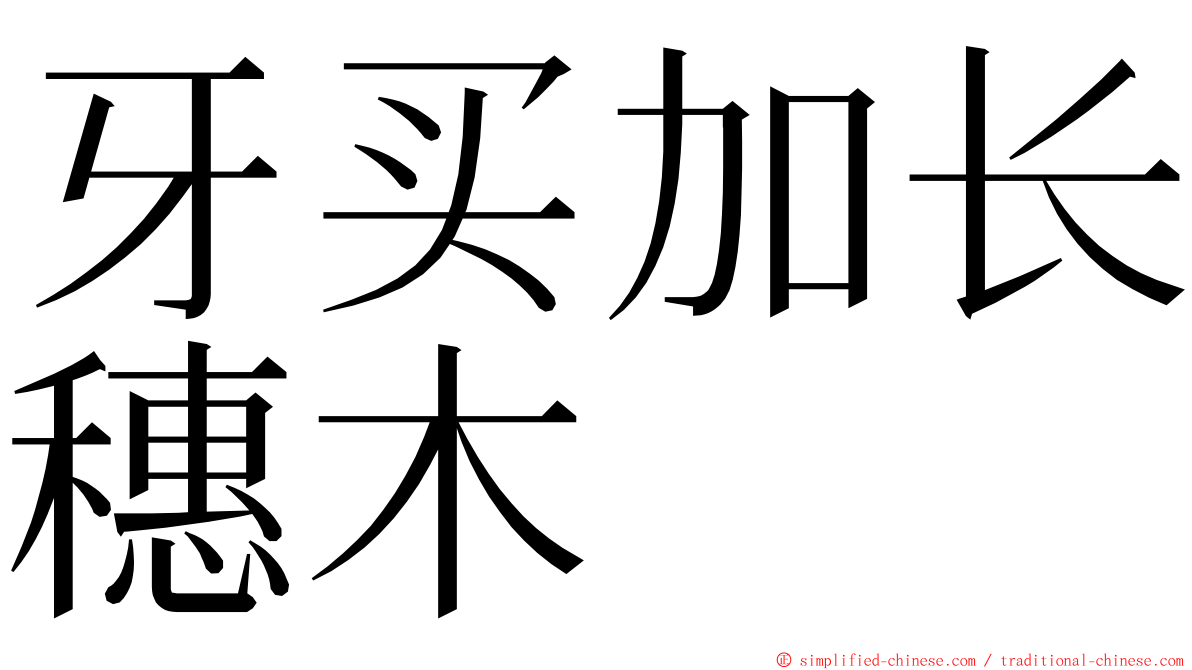 牙买加长穗木 ming font