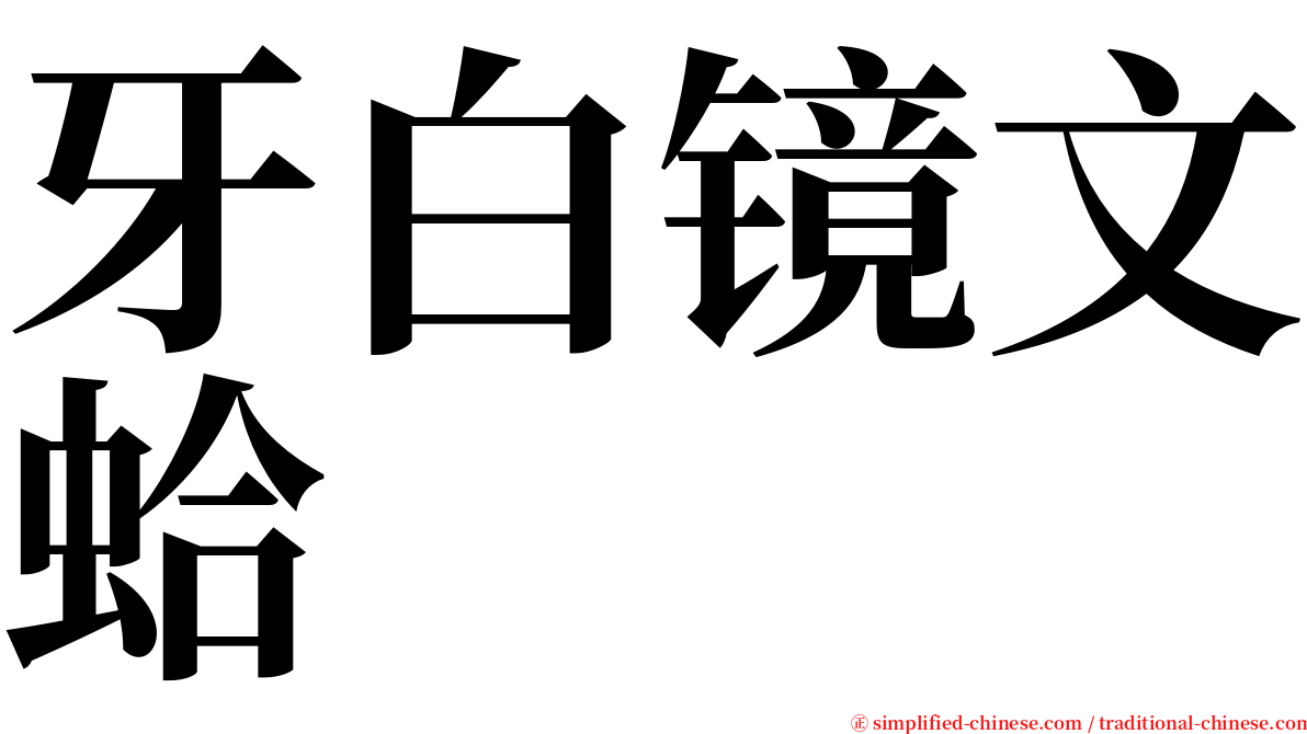 牙白镜文蛤 serif font