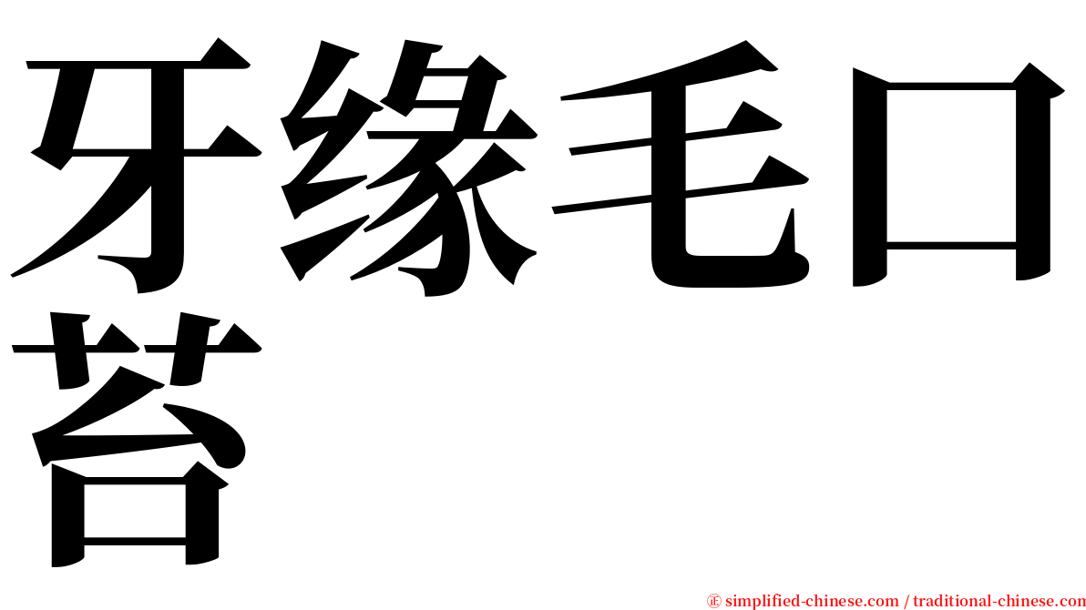 牙缘毛口苔 serif font