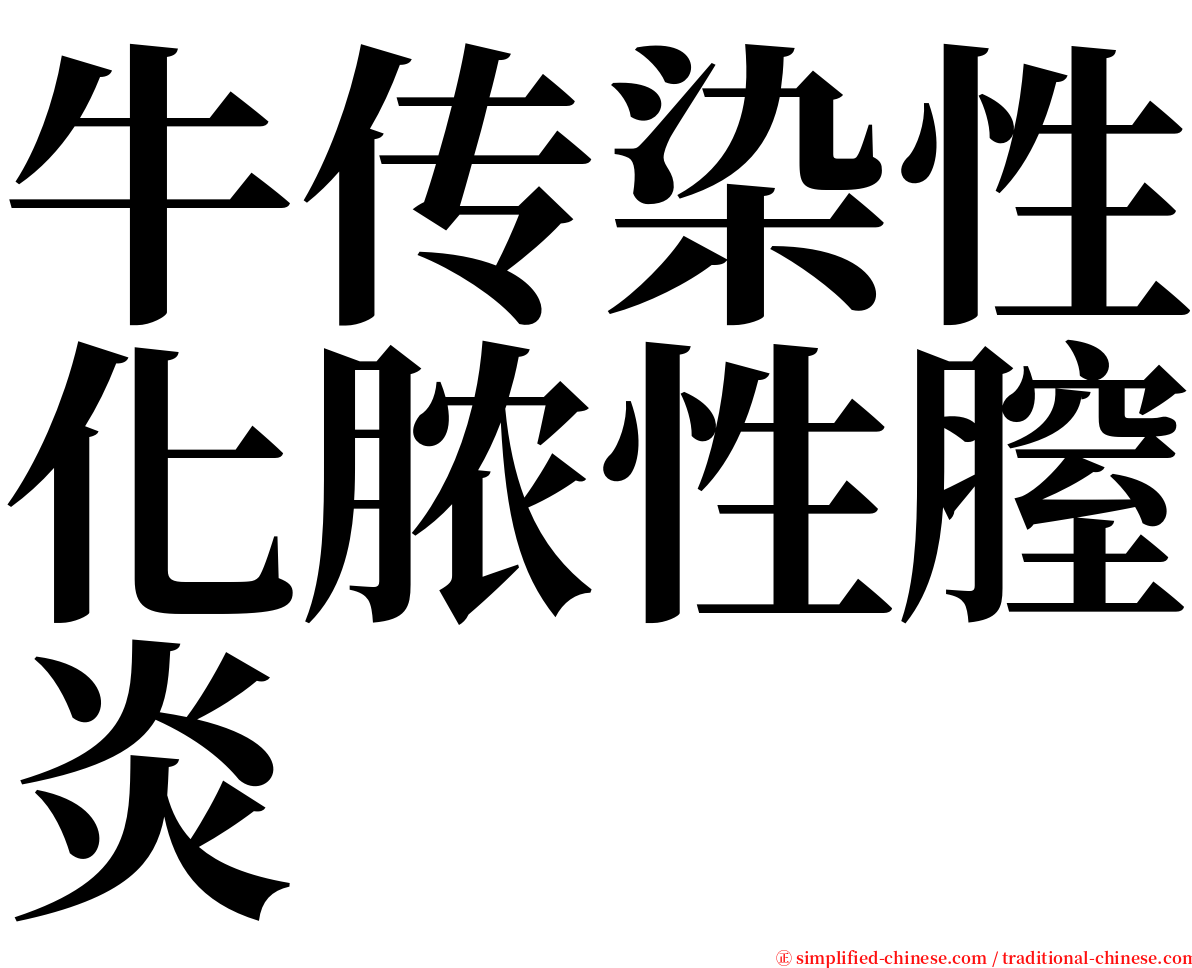 牛传染性化脓性膣炎 serif font