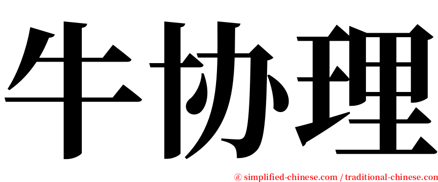 牛协理 serif font