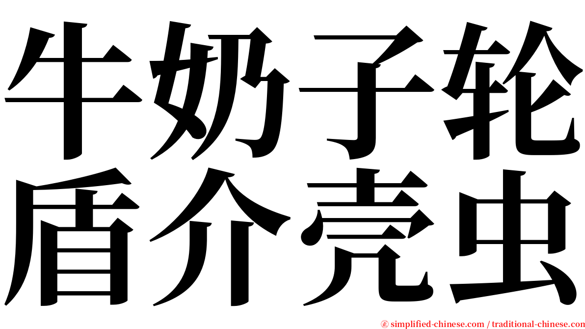 牛奶子轮盾介壳虫 serif font