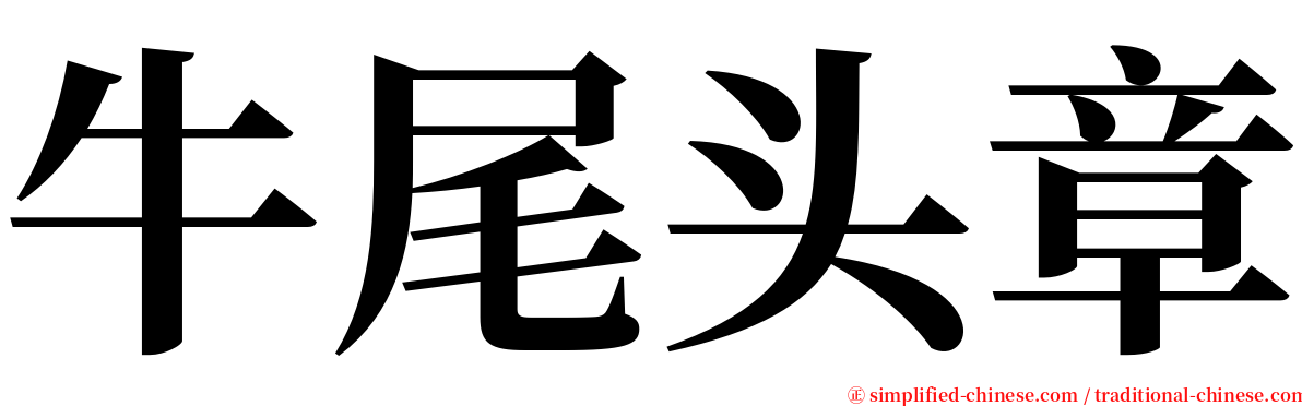 牛尾头章 serif font