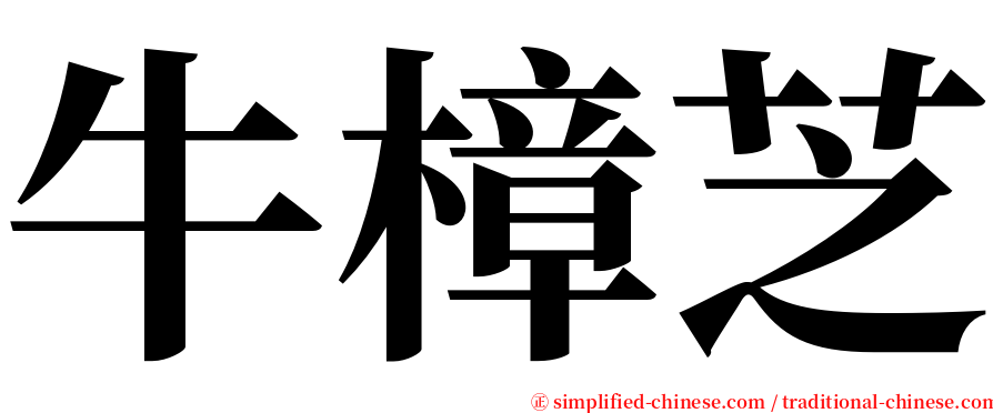 牛樟芝 serif font