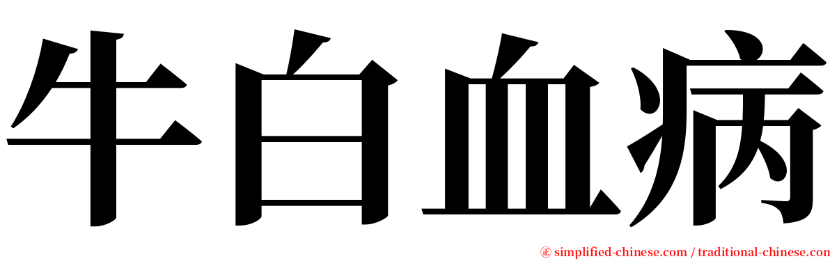 牛白血病 serif font