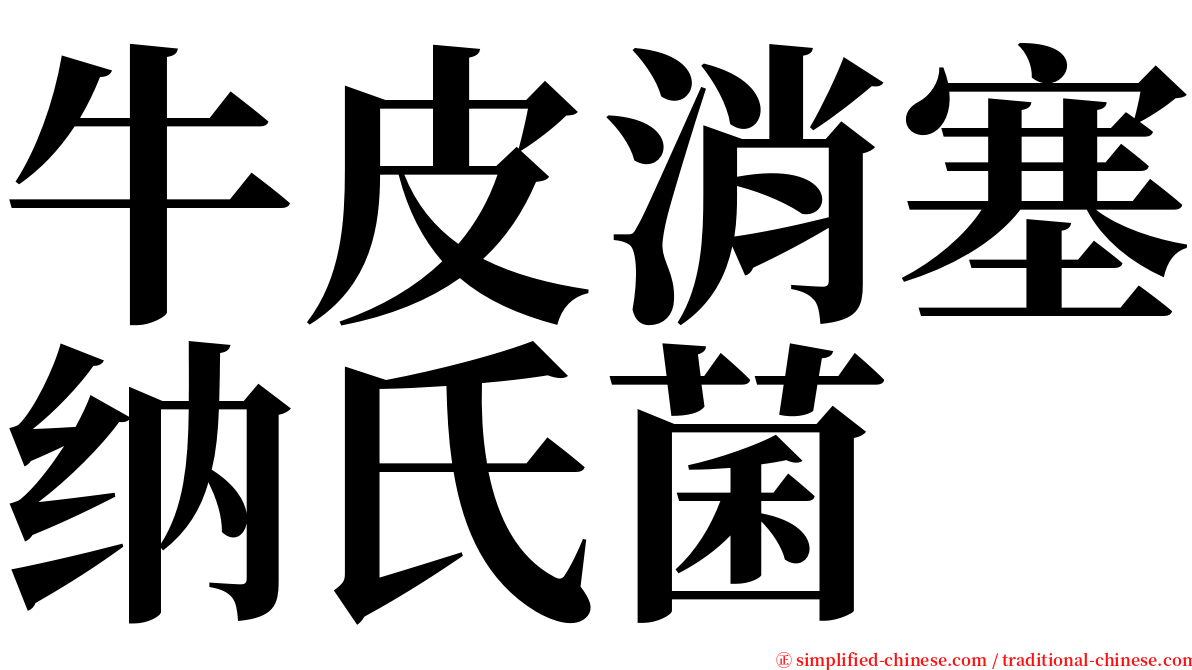 牛皮消塞纳氏菌 serif font