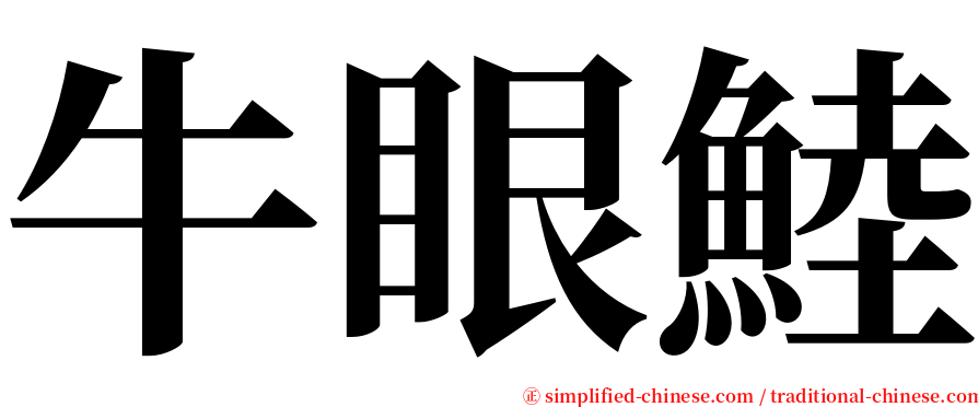 牛眼鯥 serif font