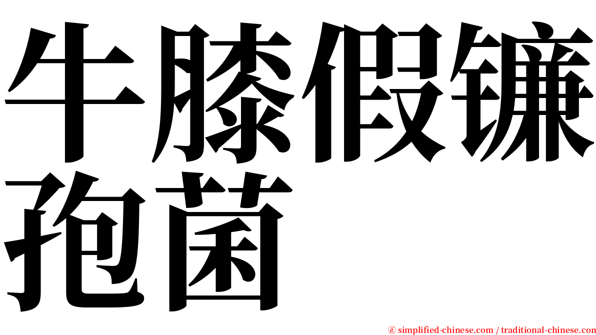 牛膝假镰孢菌 serif font