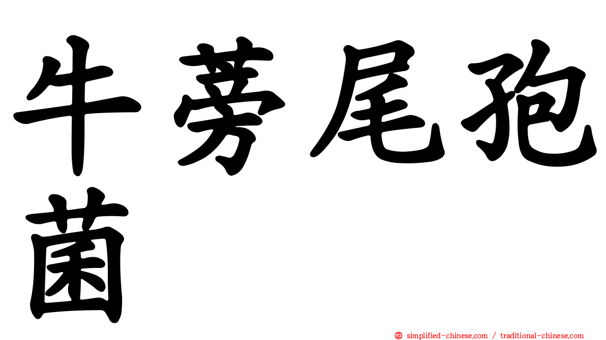 牛蒡尾孢菌