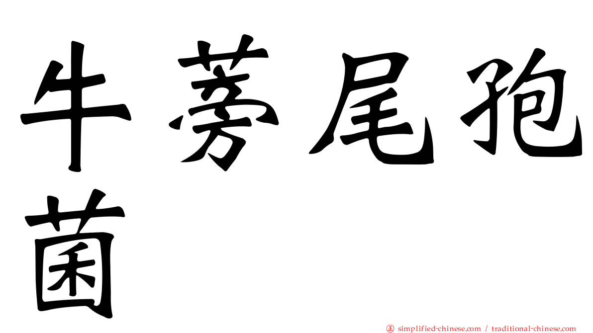牛蒡尾孢菌
