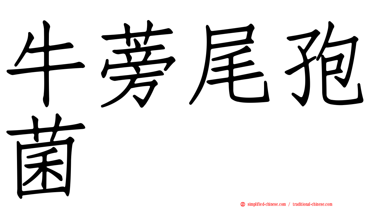 牛蒡尾孢菌