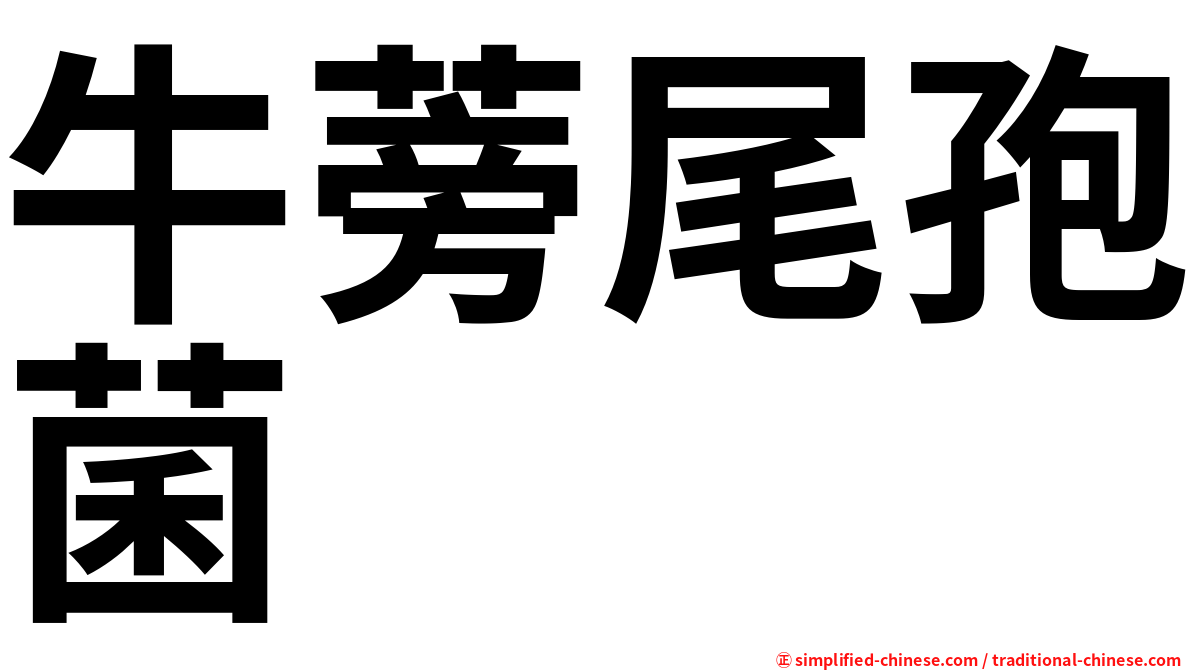 牛蒡尾孢菌