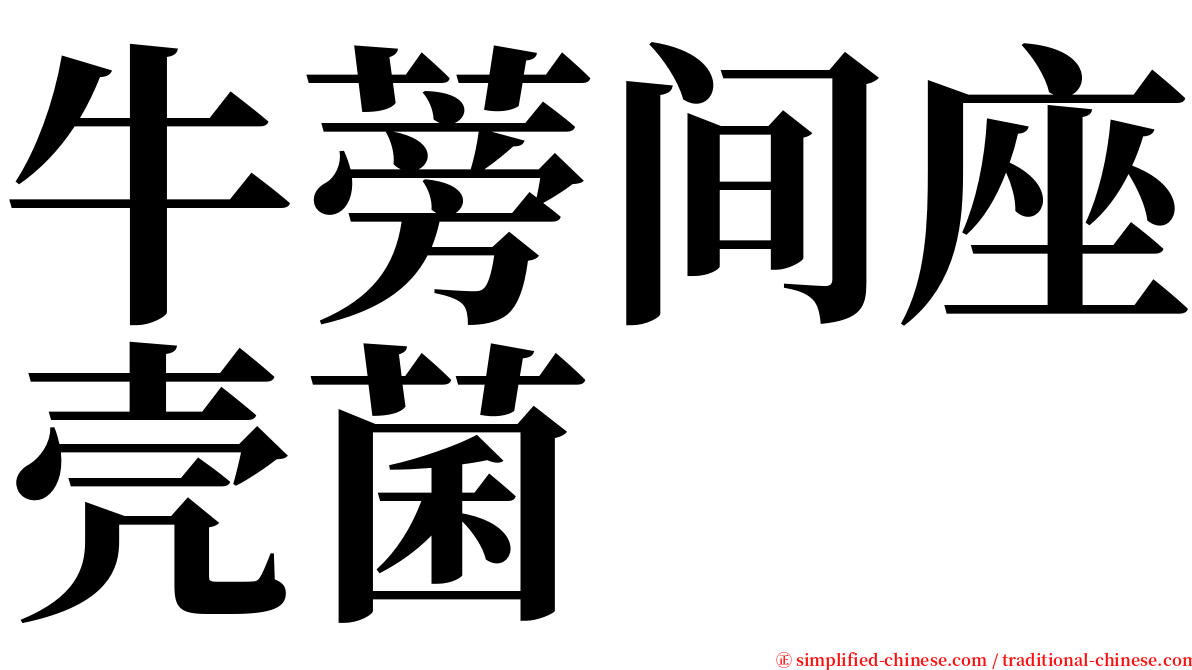 牛蒡间座壳菌 serif font