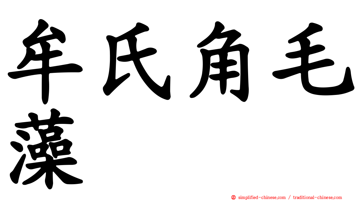 牟氏角毛藻