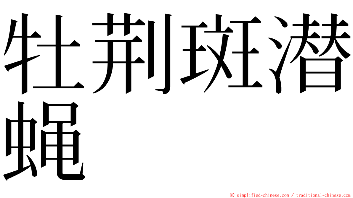牡荆斑潜蝇 ming font