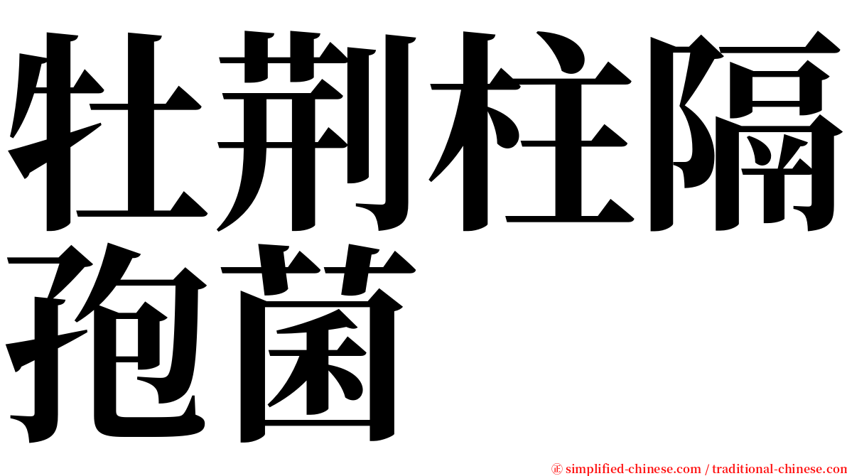 牡荆柱隔孢菌 serif font