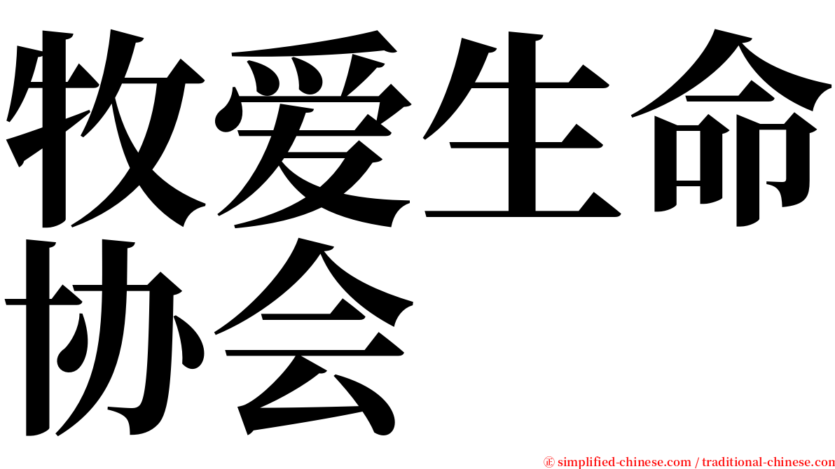 牧爱生命协会 serif font