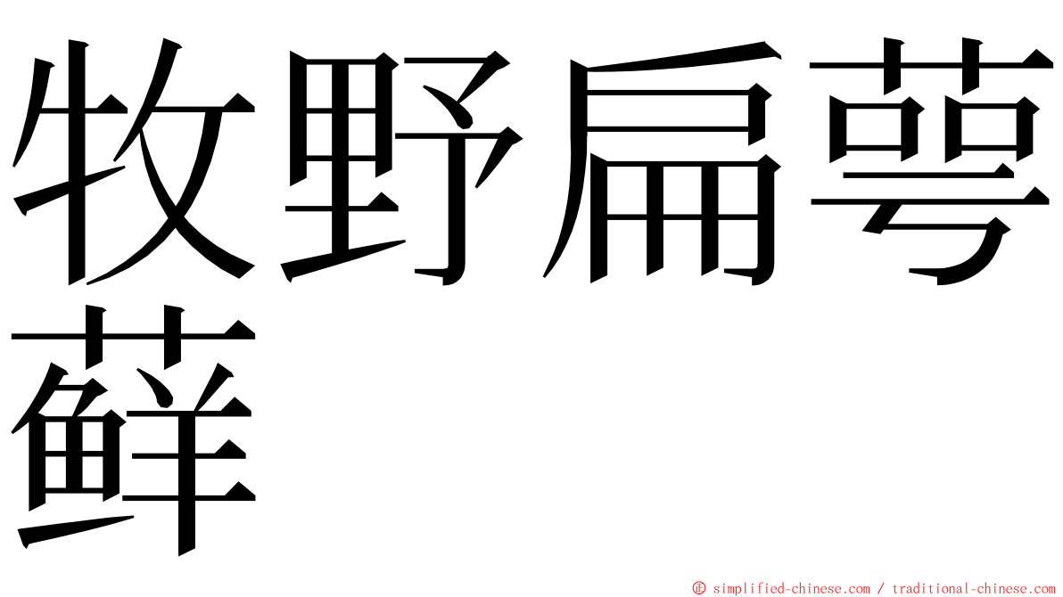 牧野扁萼藓 ming font