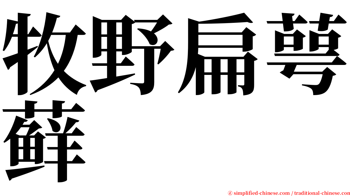 牧野扁萼藓 serif font