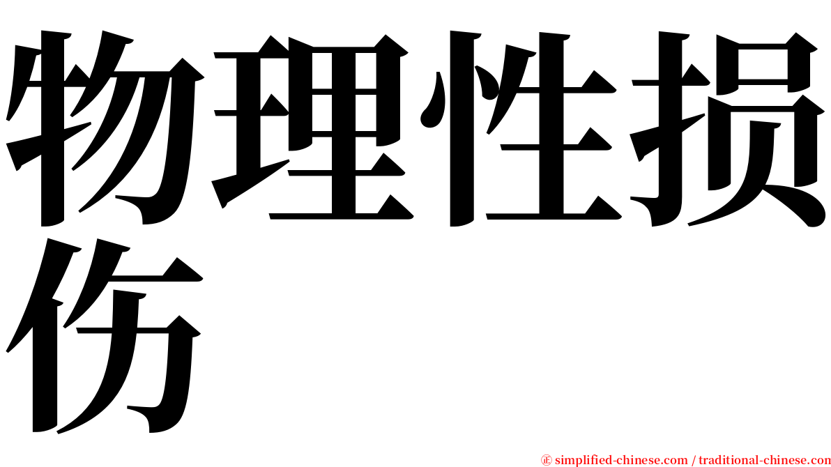 物理性损伤 serif font