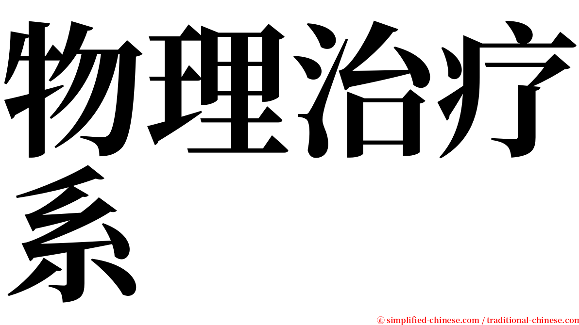 物理治疗系 serif font