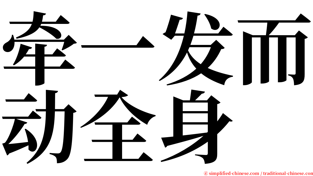 牵一发而动全身 serif font