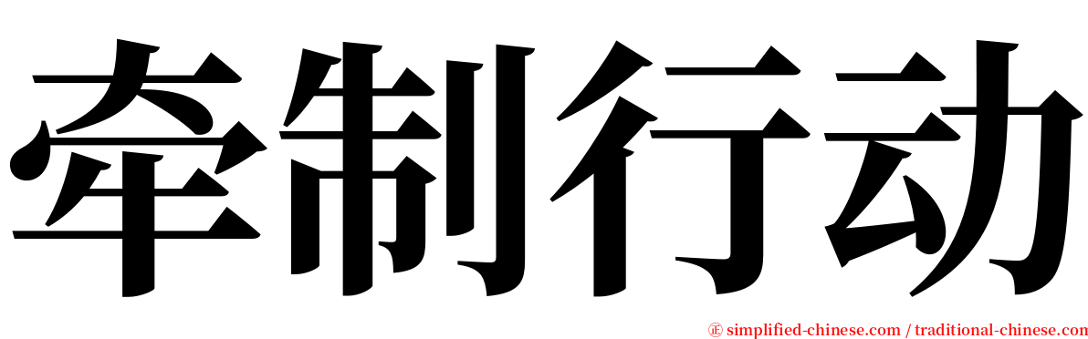 牵制行动 serif font