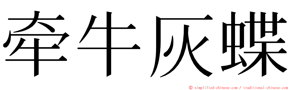 牵牛灰蝶 ming font