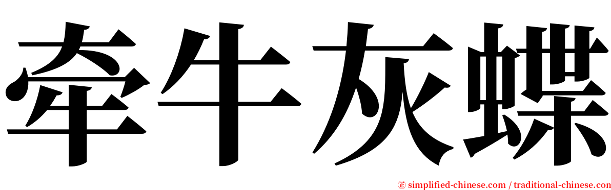 牵牛灰蝶 serif font