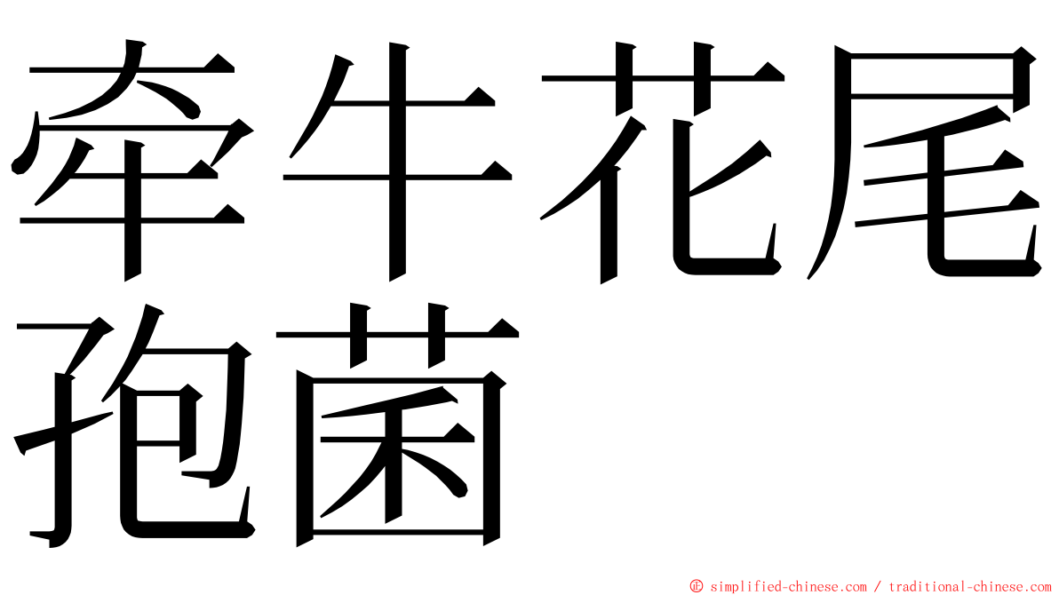 牵牛花尾孢菌 ming font