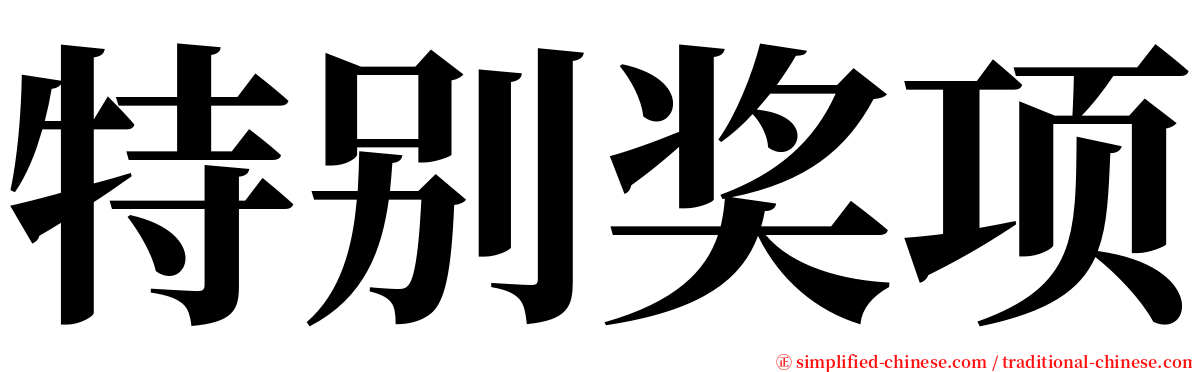 特别奖项 serif font