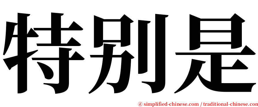 特别是 serif font