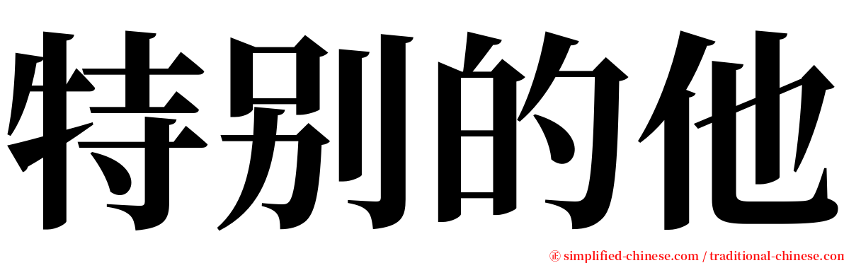 特别的他 serif font