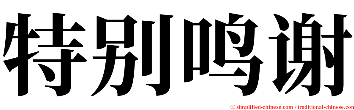 特别鸣谢 serif font