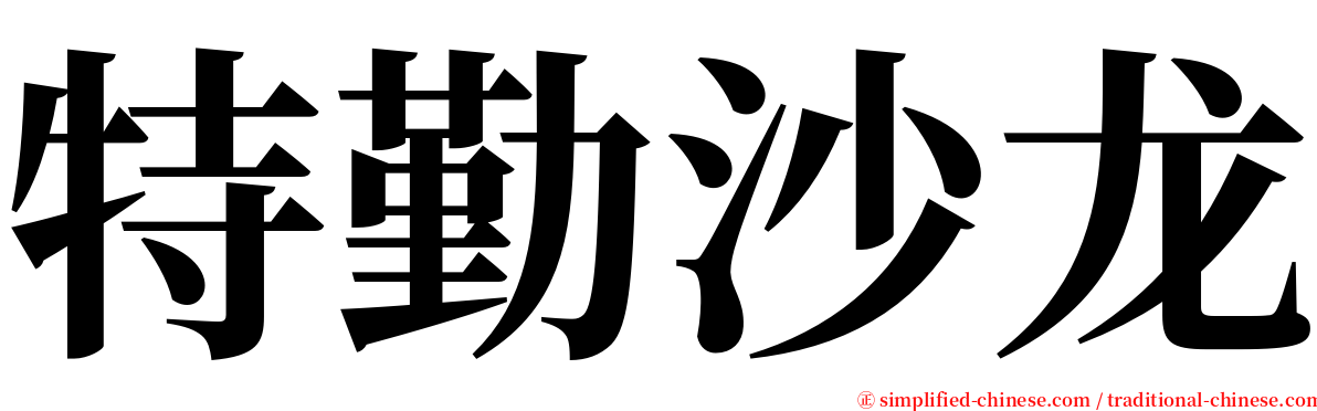 特勤沙龙 serif font