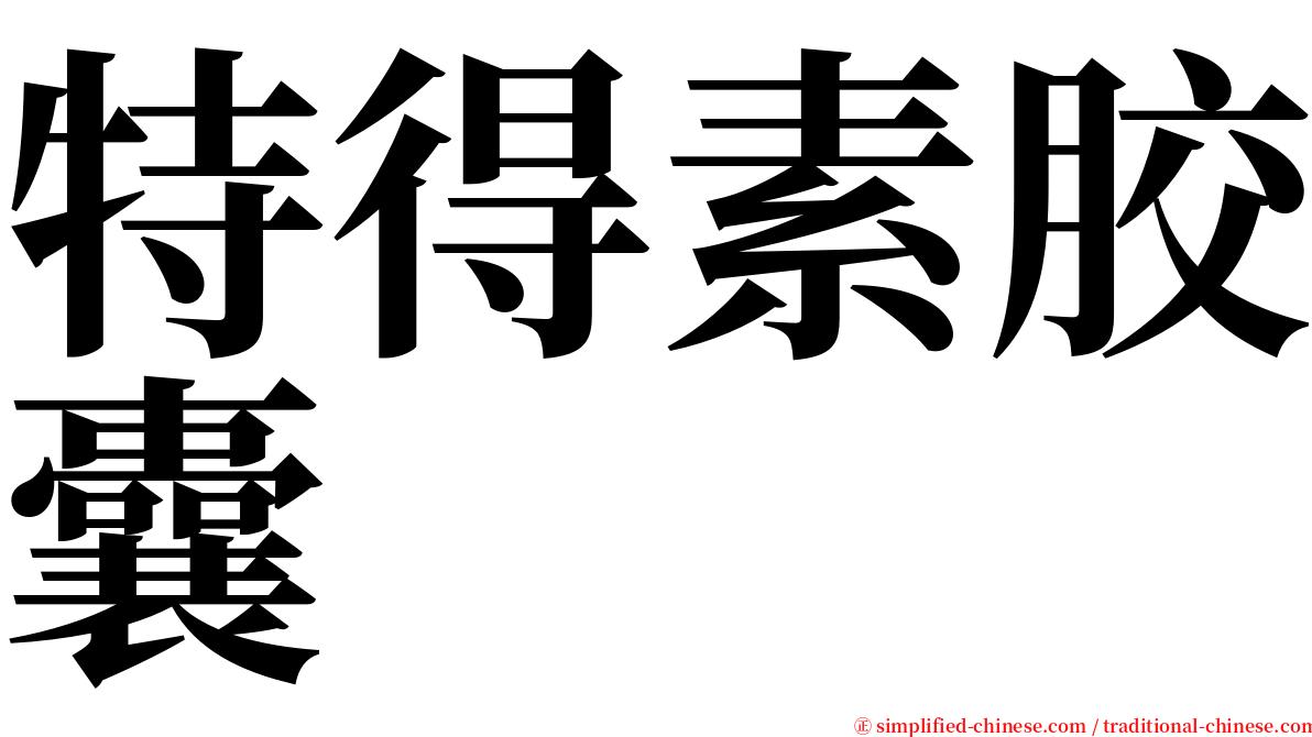 特得素胶囊 serif font