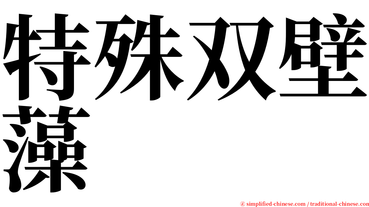 特殊双壁藻 serif font