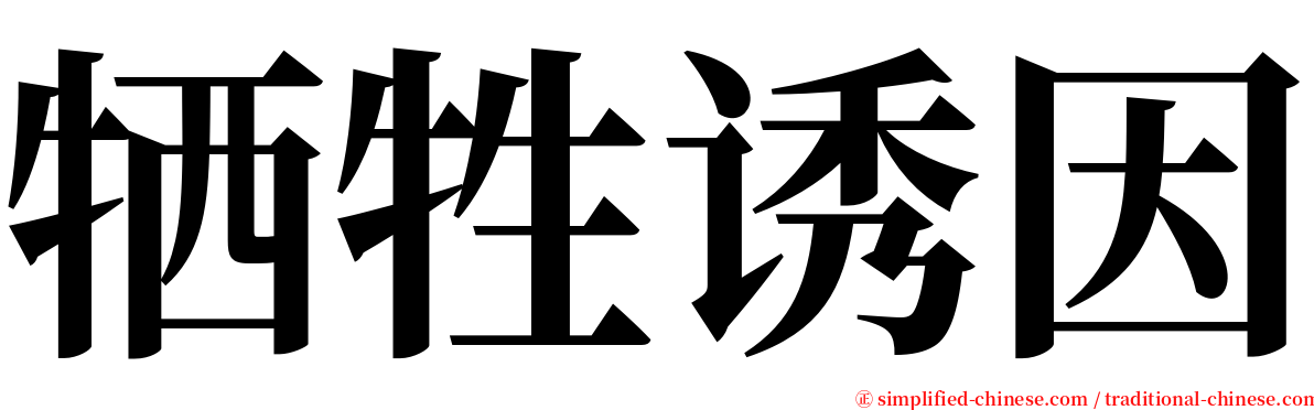 牺牲诱因 serif font