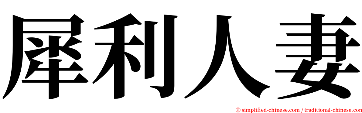 犀利人妻 serif font