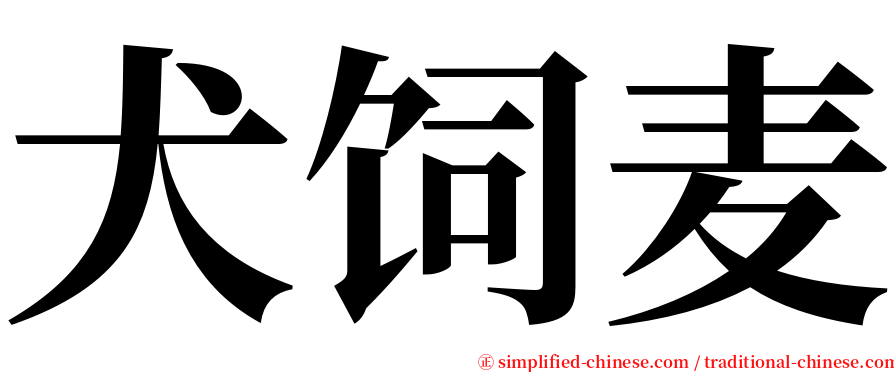 犬饲麦 serif font