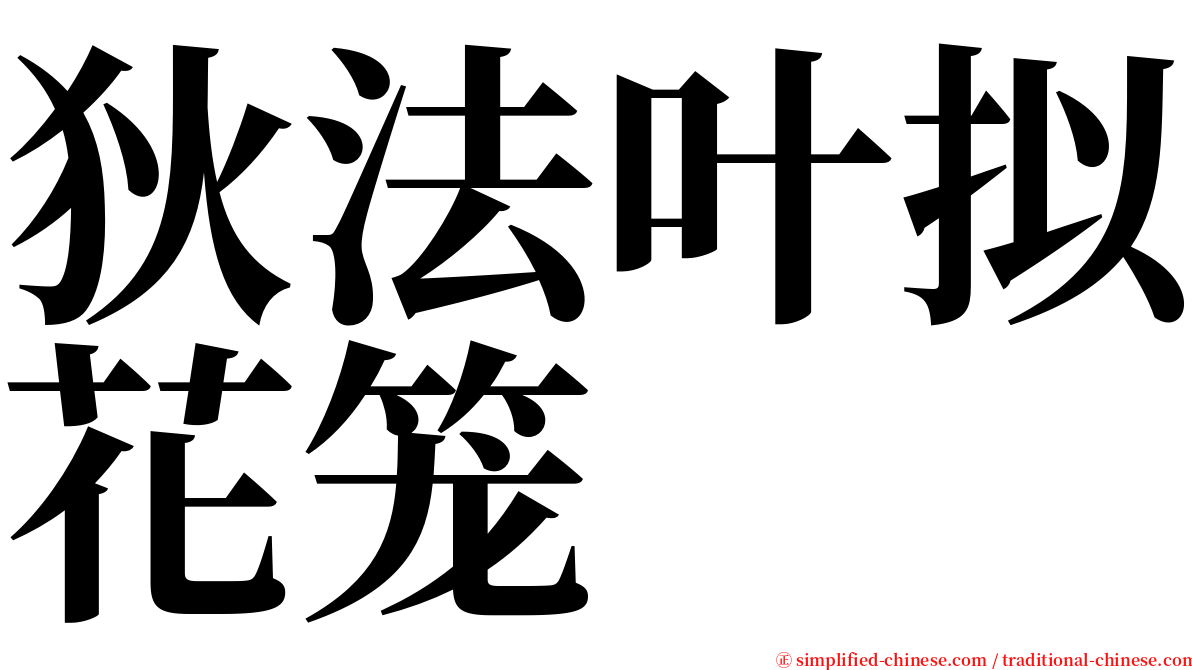 狄法叶拟花笼 serif font