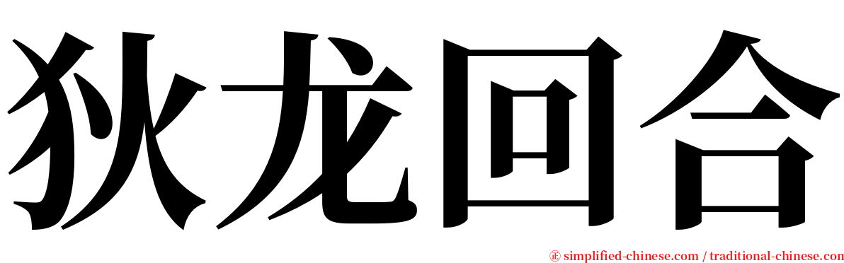 狄龙回合 serif font