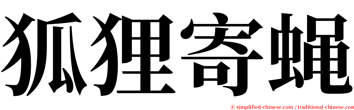 狐狸寄蝇 serif font