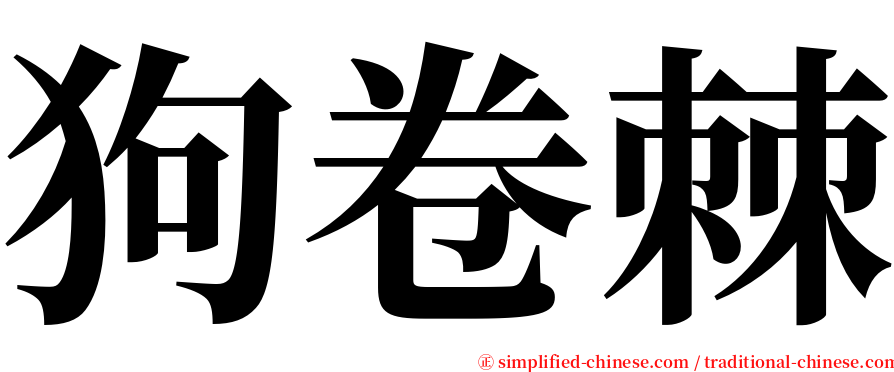 狗卷棘 serif font