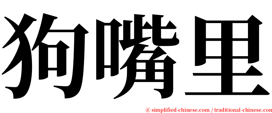 狗嘴里 serif font