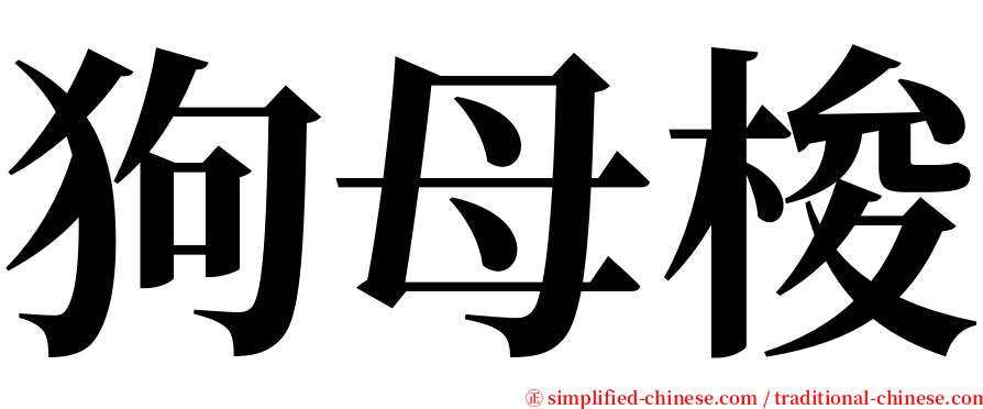 狗母梭 serif font