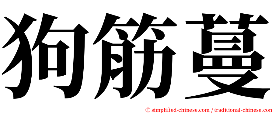 狗筋蔓 serif font