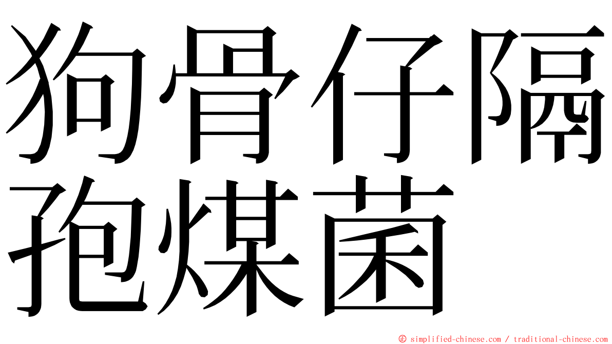 狗骨仔隔孢煤菌 ming font